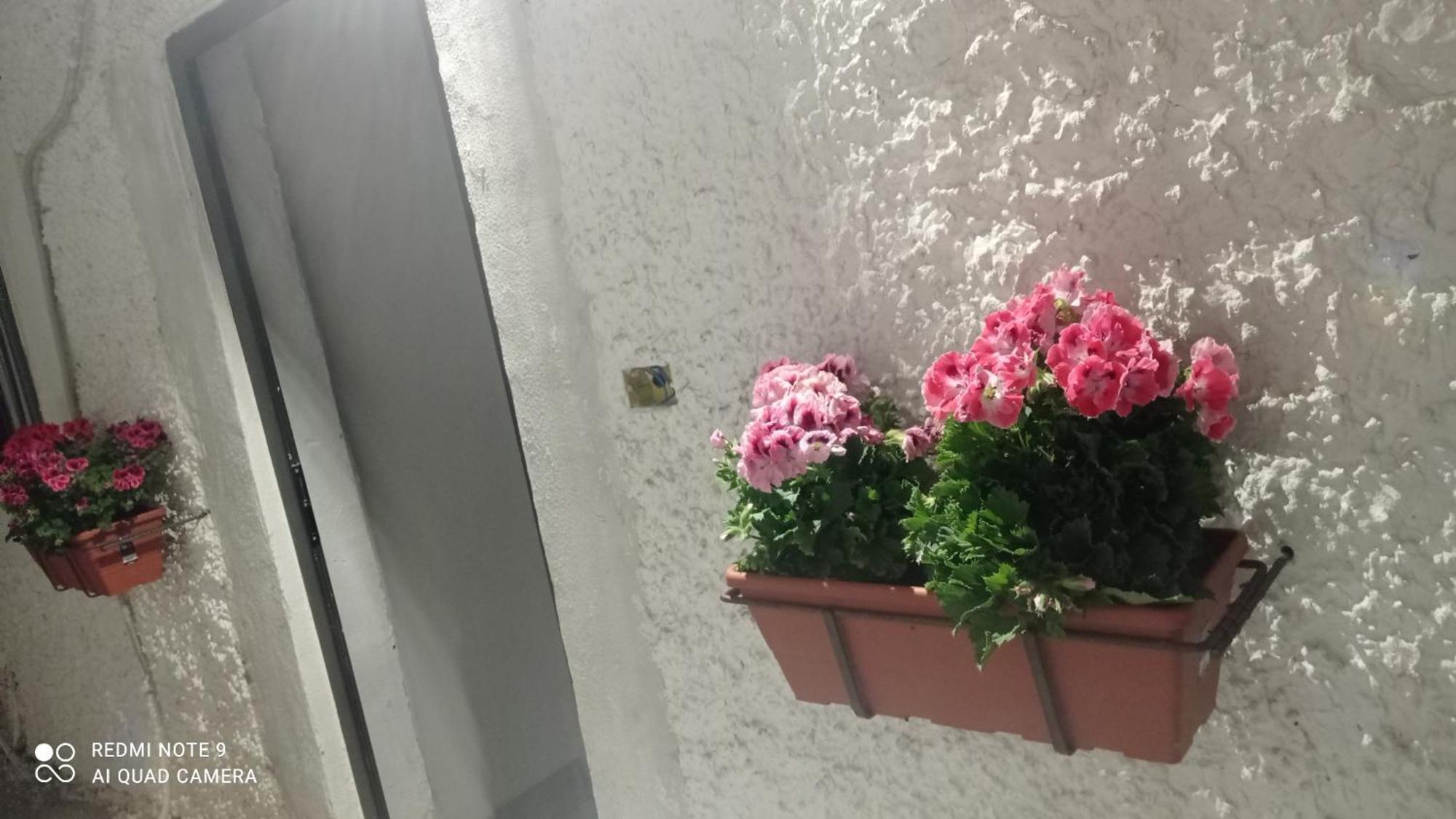 카타니아 Ortensia C House 빌라 외부 사진