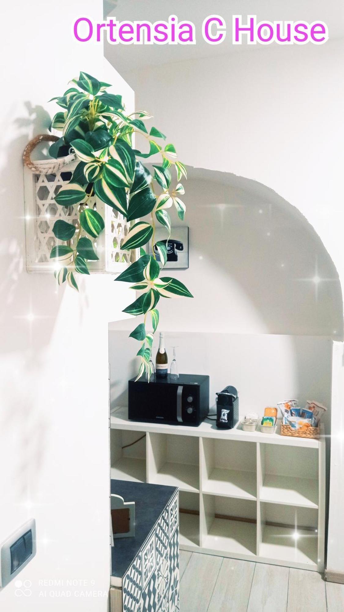 카타니아 Ortensia C House 빌라 외부 사진