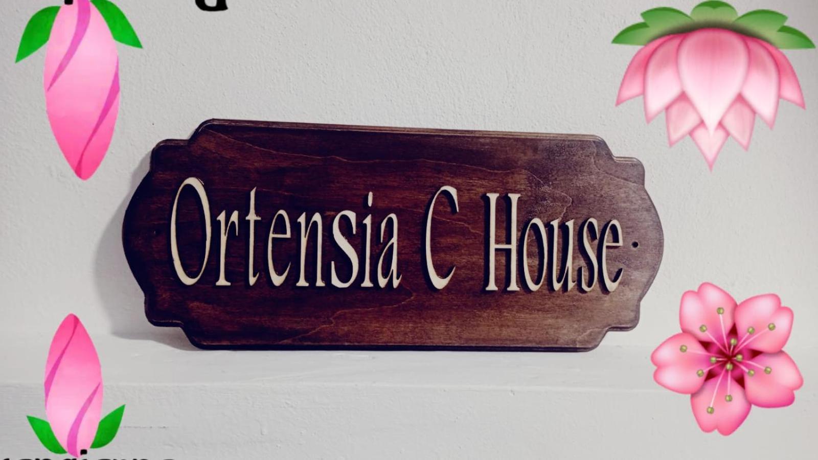 카타니아 Ortensia C House 빌라 외부 사진